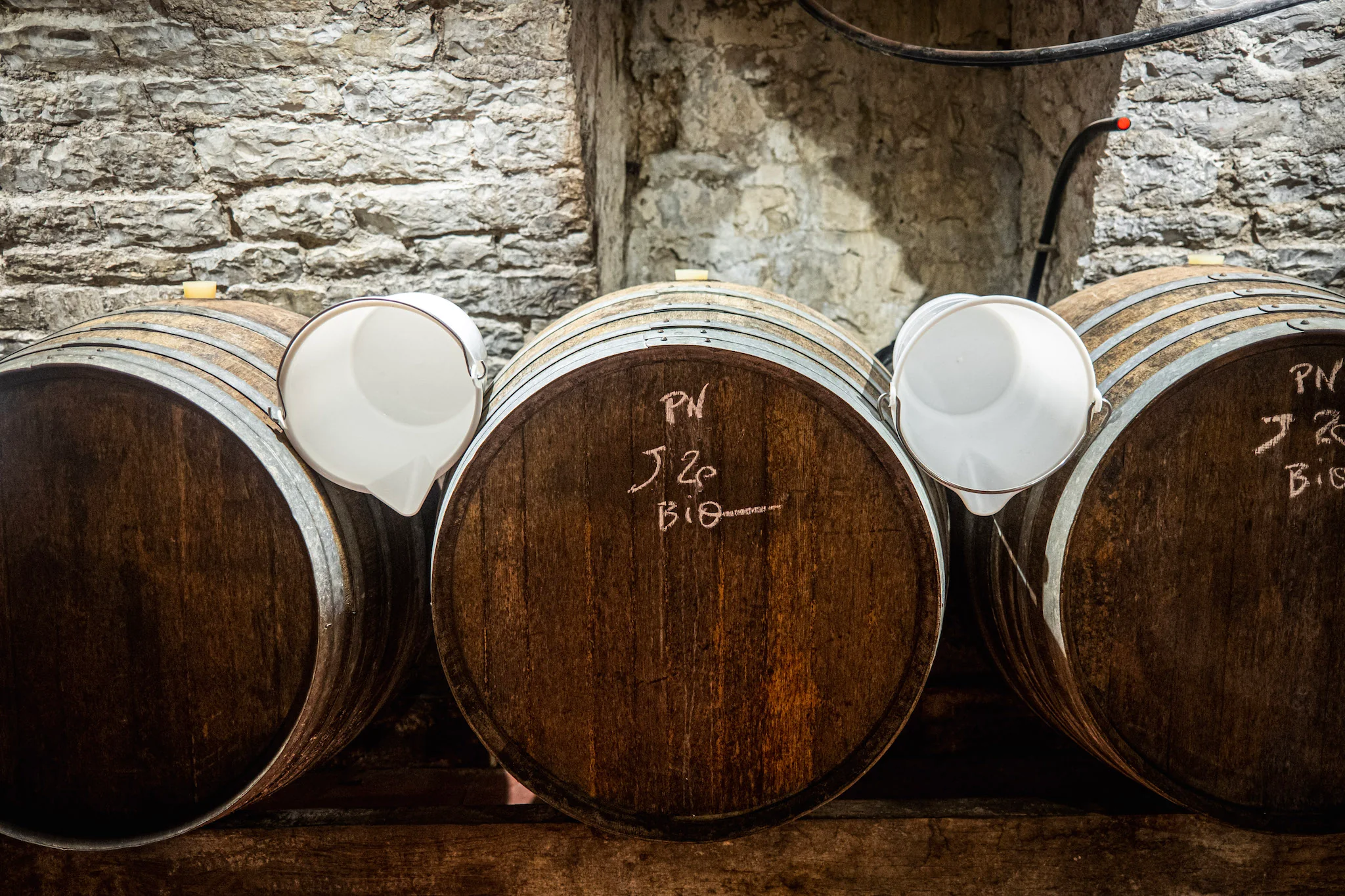 Curated Cellars, Global Expressions